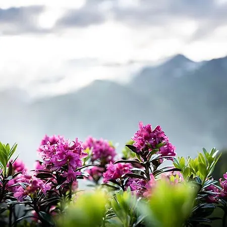Hüttl Frühstückspension St. Anton am Arlberg